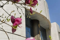 西北工业大学  刘教员文章