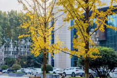 西北工业大学  刘教员文章