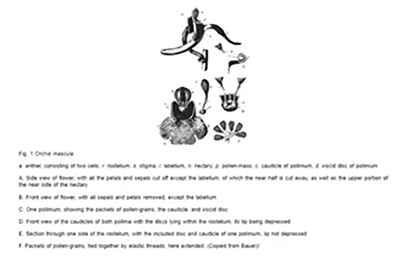未标题-3-1 sunbet·申搏(中国区)官方网站-Licensed by Macau