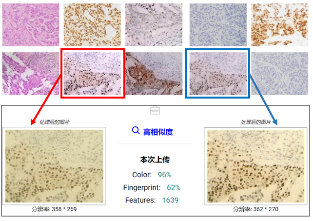 640-1-2 sunbet·申搏(中国区)官方网站-Licensed by Macau