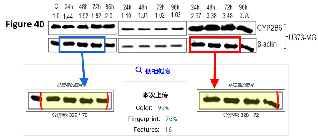 640-10 sunbet·申搏(中国区)官方网站-Licensed by Macau