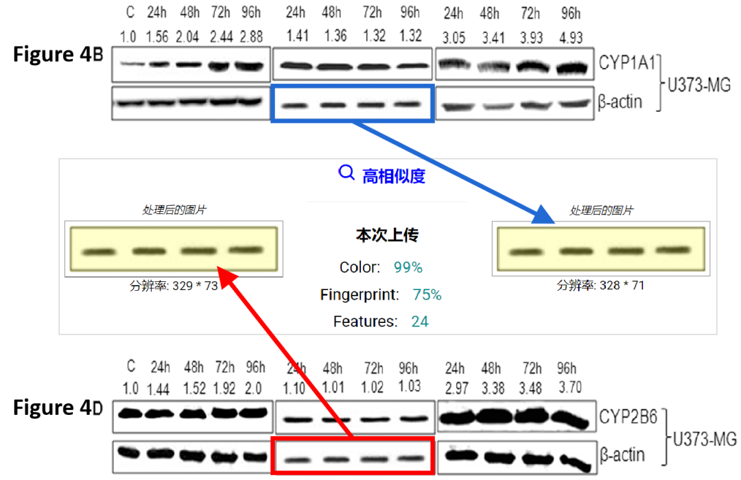 640-9 sunbet·申搏(中国区)官方网站-Licensed by Macau